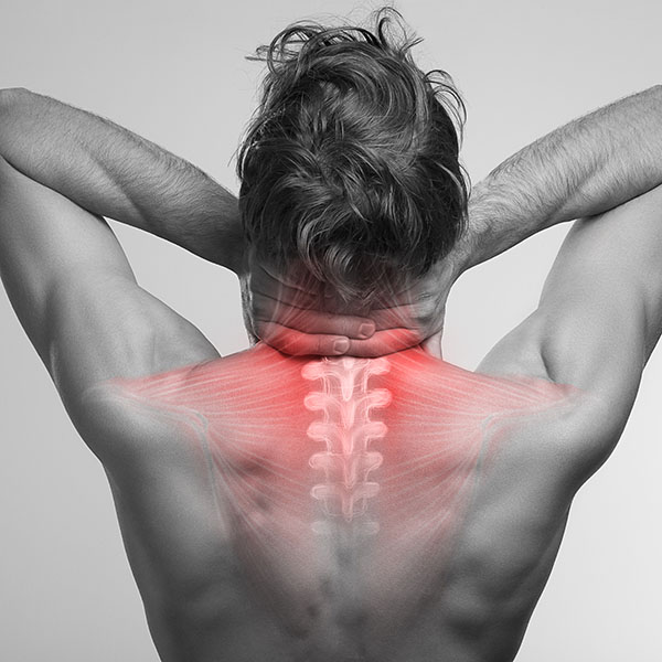 Anatomy of The Neck: Causes of Neck Pain and How to Manage the Pain